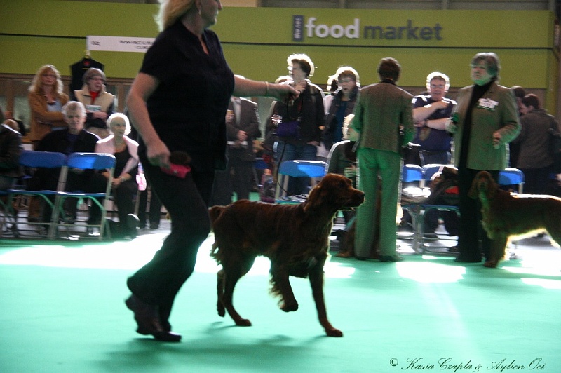 Crufts2011 099.jpg